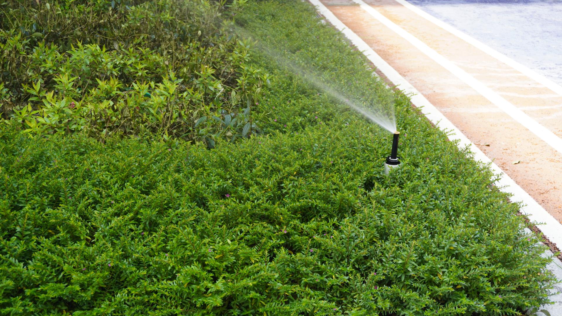 模块雨水回用系统与机房雨水回用系统的特点